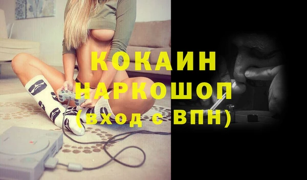 a pvp Инсар
