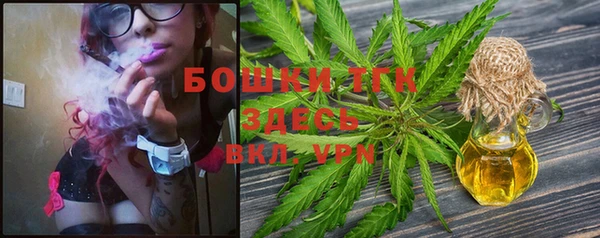 a pvp Инсар