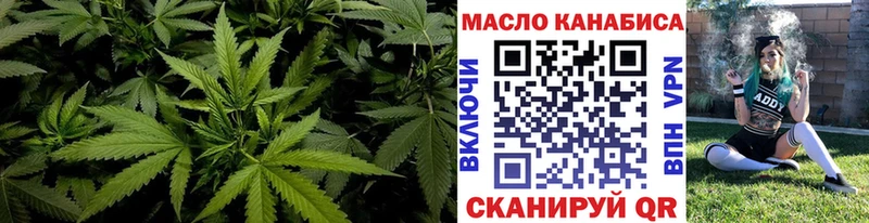 Купить закладки  Гаджиево  ТГК Wax 
