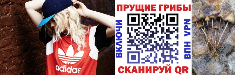 Псилоцибиновые грибы мухоморы  Купить где  Гаджиево 