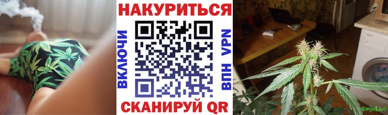Каннабис планчик Купить Гаджиево